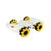 Mecanum Wheel Robot