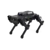 Quadruped Robot